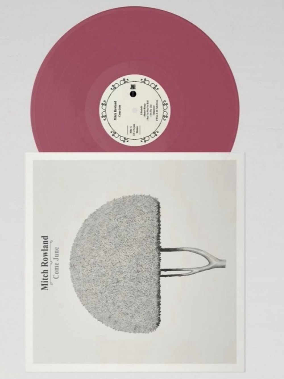 NEW MITCH ROWLAND COME JUNE VINYL